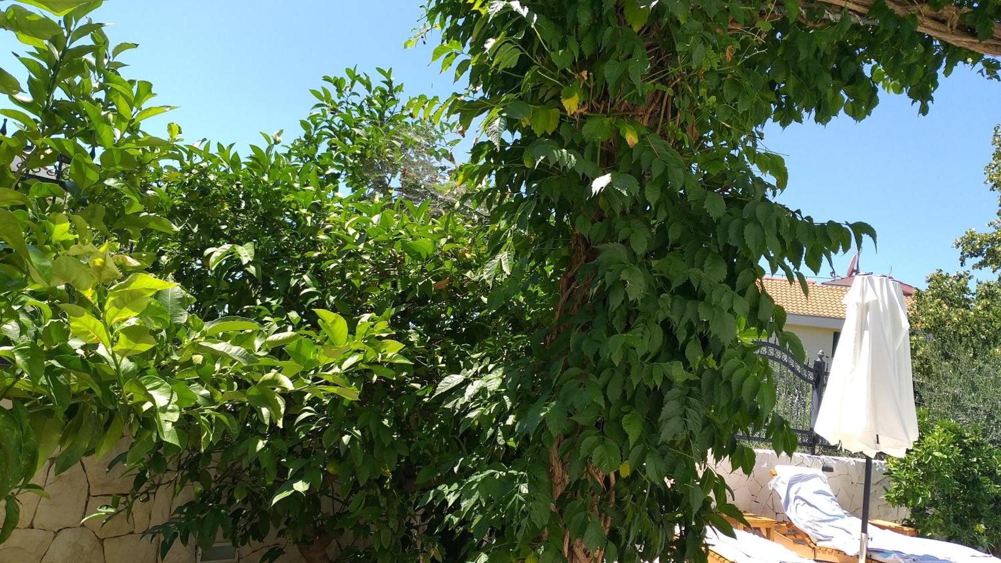 Villa Mira Trogir Pokoj fotografie